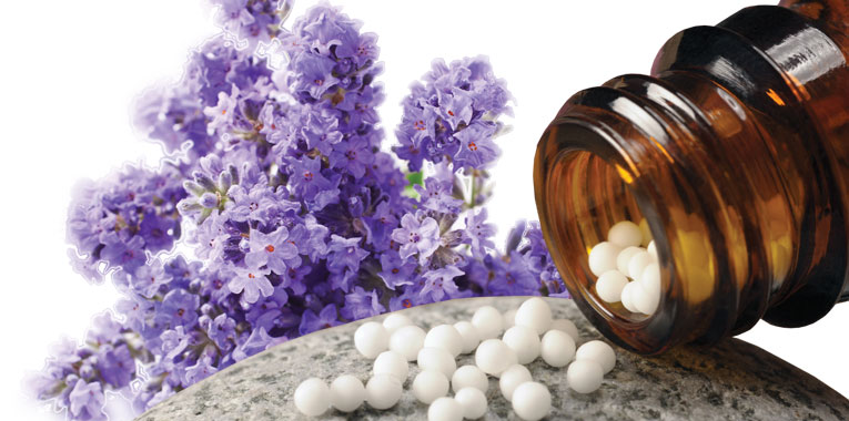 homeopatia+maria-eliane-menon