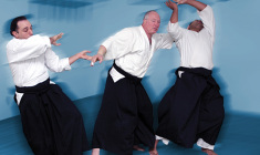 aikido-o-caminho-da-harmonia+aikido